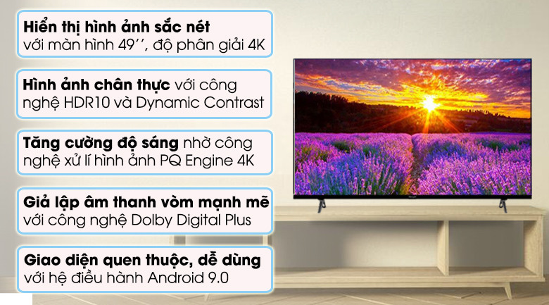 Android Tivi Vsmart 4K 49 inch 49KE8100