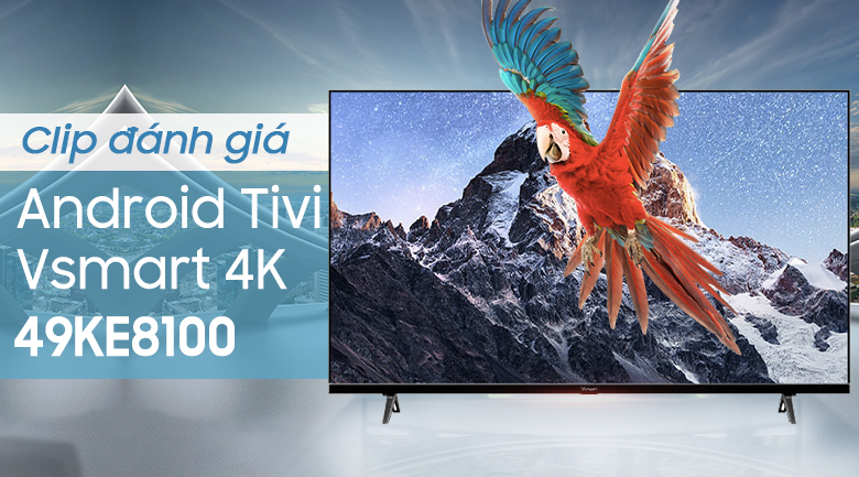 Android Tivi Vsmart 4K 49 inch 49KE8100