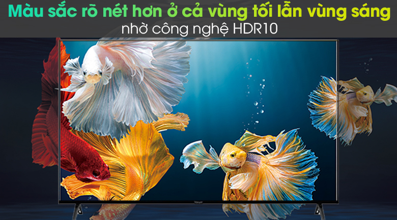 Android Tivi Vsmart 4K 50 inch 50KD6800