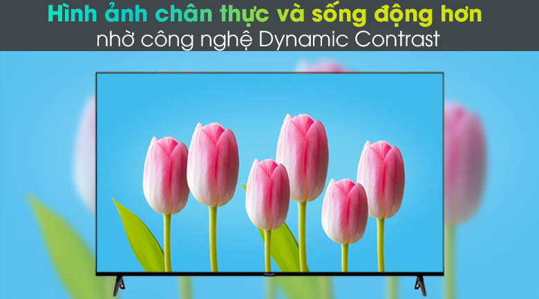 Android Tivi Vsmart 4K 55 inch 55KD6800