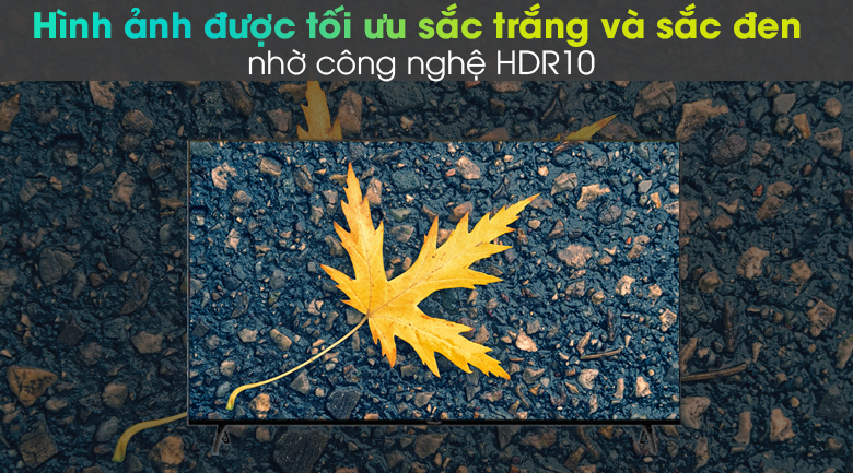 Android Tivi Vsmart 4K 55 inch 55KD6800