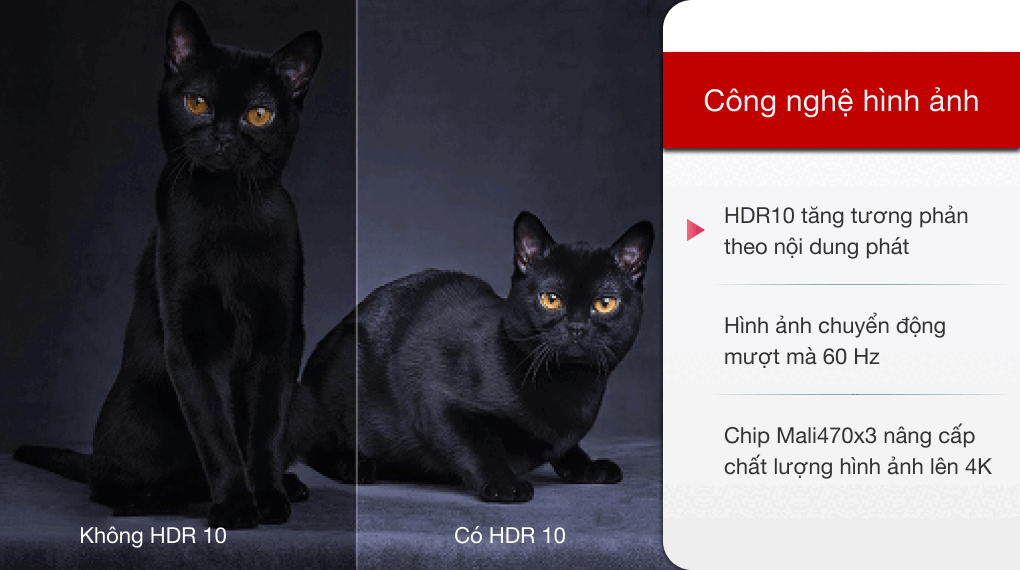 Android Tivi TCL 4K 55 inch 55P615