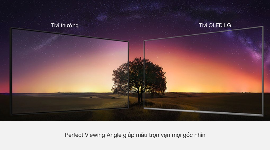 Smart Tivi OLED LG 4K 65 inch 65CXPTA