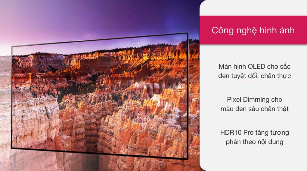 Smart Tivi OLED LG 4K 65 inch 65CXPTA
