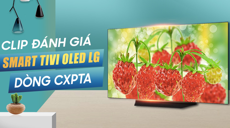 Smart Tivi OLED LG 4K 48 inch 48CXPTA