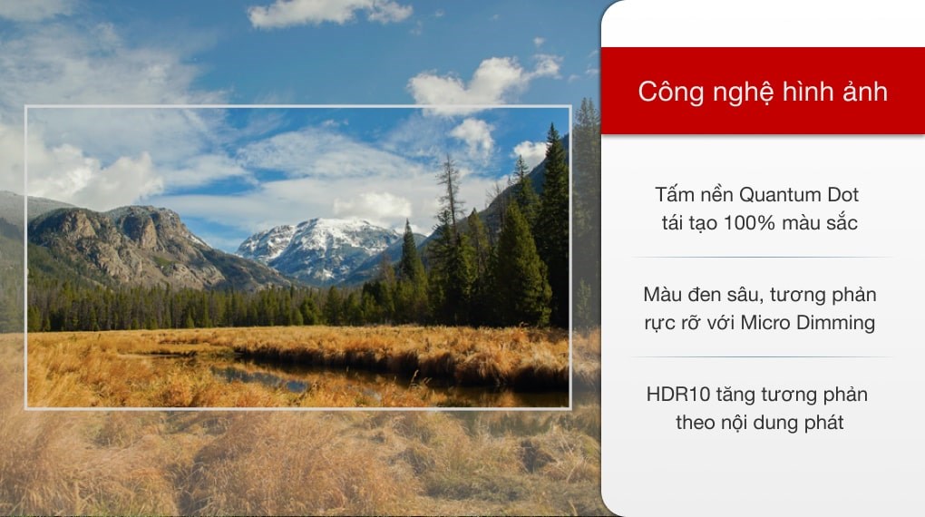 Android Tivi QLED TCL 4K 50 inch 50Q726 - 3