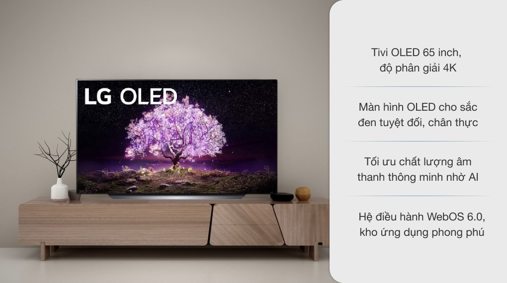 Smart Tivi OLED LG 4K 65 inch 65C1PTB