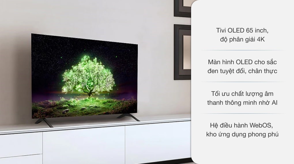Smart Tivi OLED LG 4K 65 inch 65A1PTA - 2