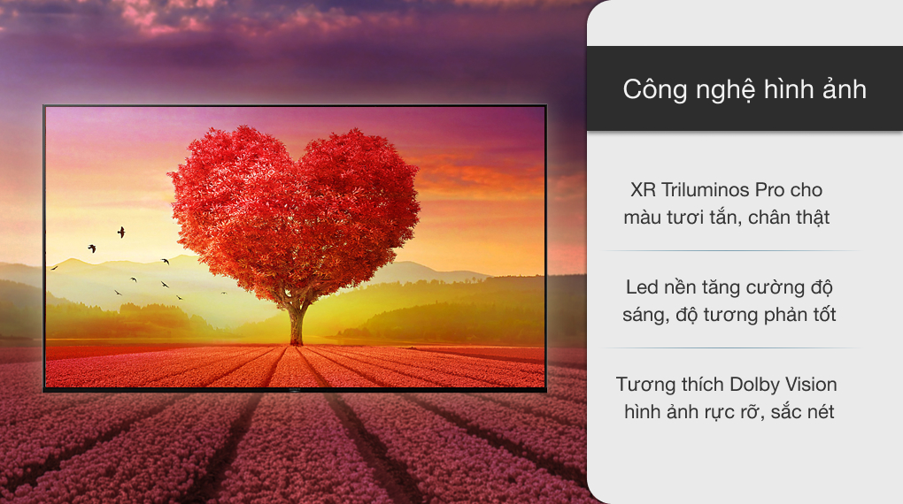 Android Tivi Sony 4K 65 inch XR-65X90J - 3