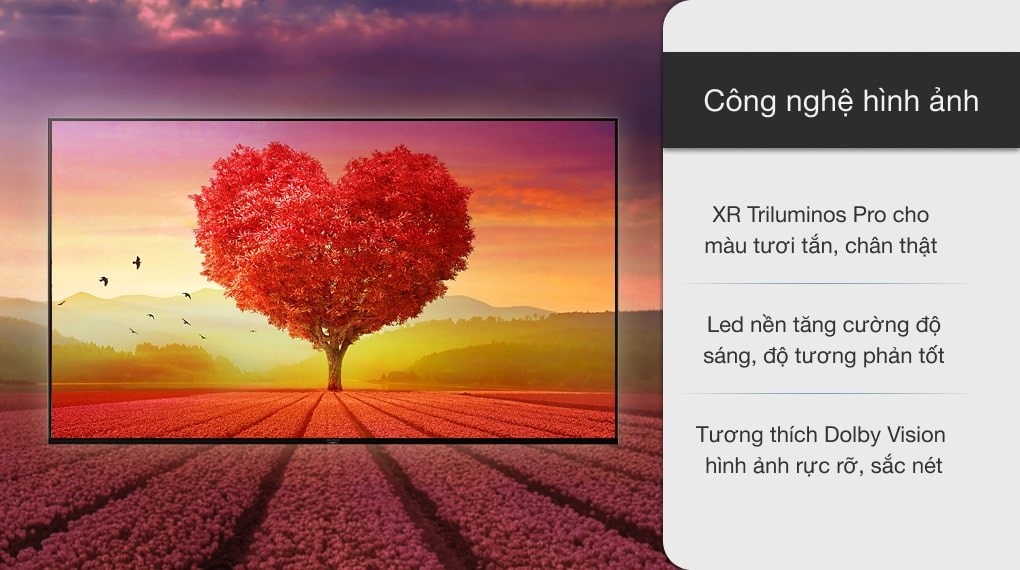 Android Tivi Sony 4K 50 inch XR-50X90J - 3