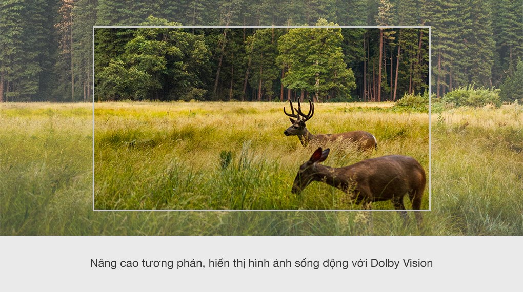 Android Tivi OLED Sony 4K 65 inch XR-65A80J