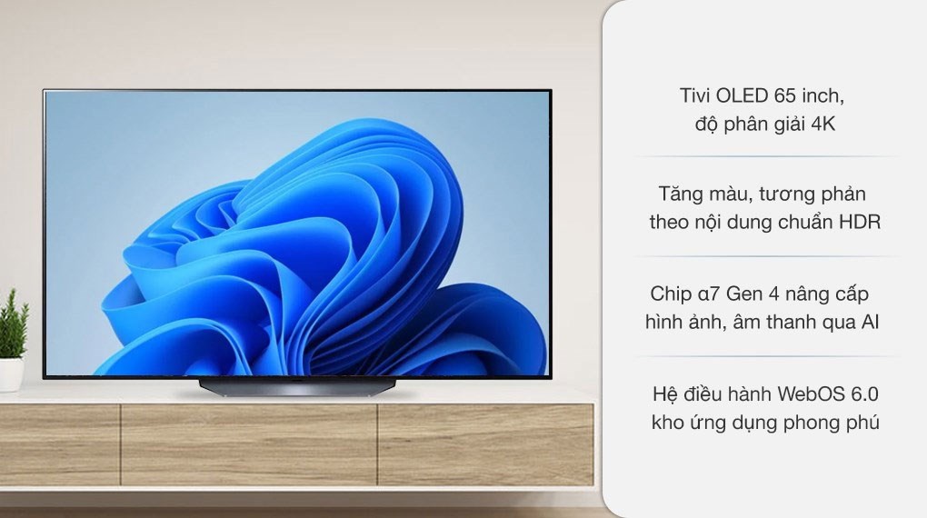 Smart Tivi OLED LG 4K 65 inch 65B1PTA