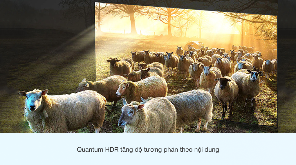 Smart Tivi Neo QLED 8K 65 inch Samsung QA65QN700A