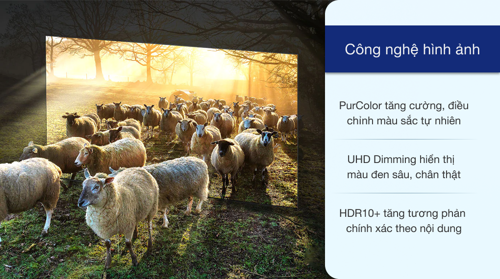 Smart Tivi Samsung 4K 43 inch UA43AU7700