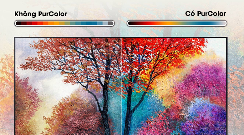 Smart Tivi Samsung 4K 65 inch UA65AU7700 - Dải màu sắc rộng lớn và rực rỡ cho hình ảnh tươi tắn, tự nhiên hơn với công nghệ PurColor