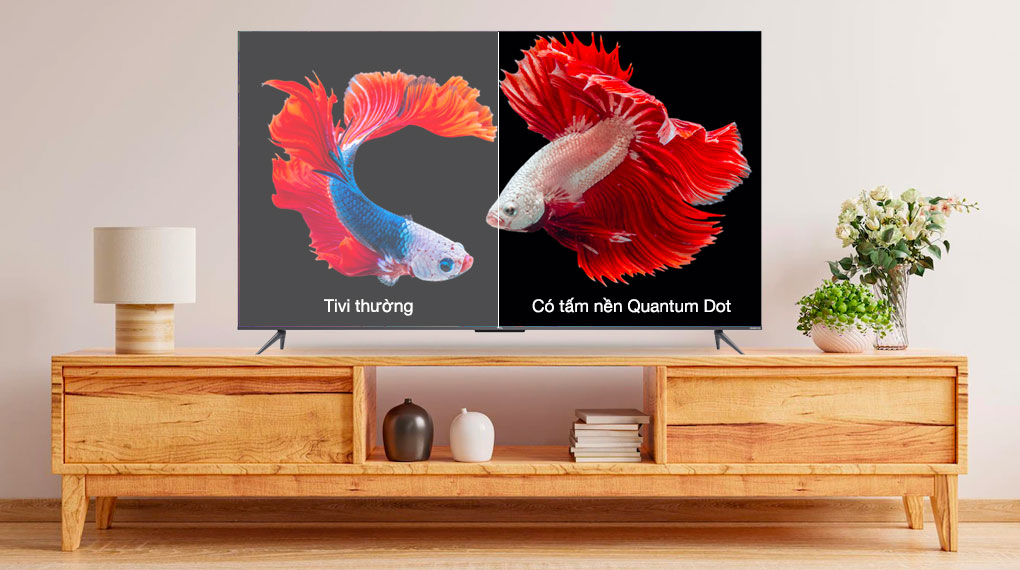 Google Tivi TCL 4K 65 inch 65Q636 - Công nghệ hình ảnh