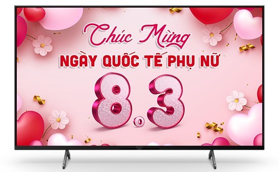 google-sony-4k-50-inch-kd-50x81dk-(32)
