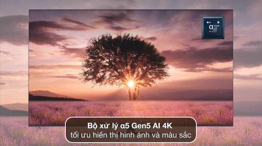 Smart Tivi LG 4K 60 inch 60UQ8150PSB