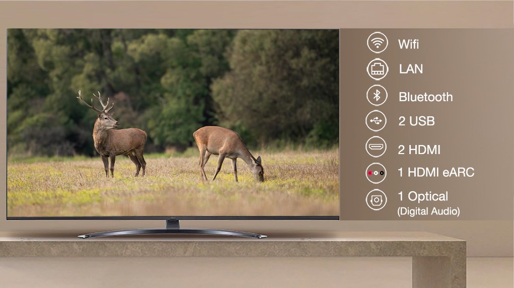 Smart Tivi LG 4K 60 inch 60UQ8150PSB