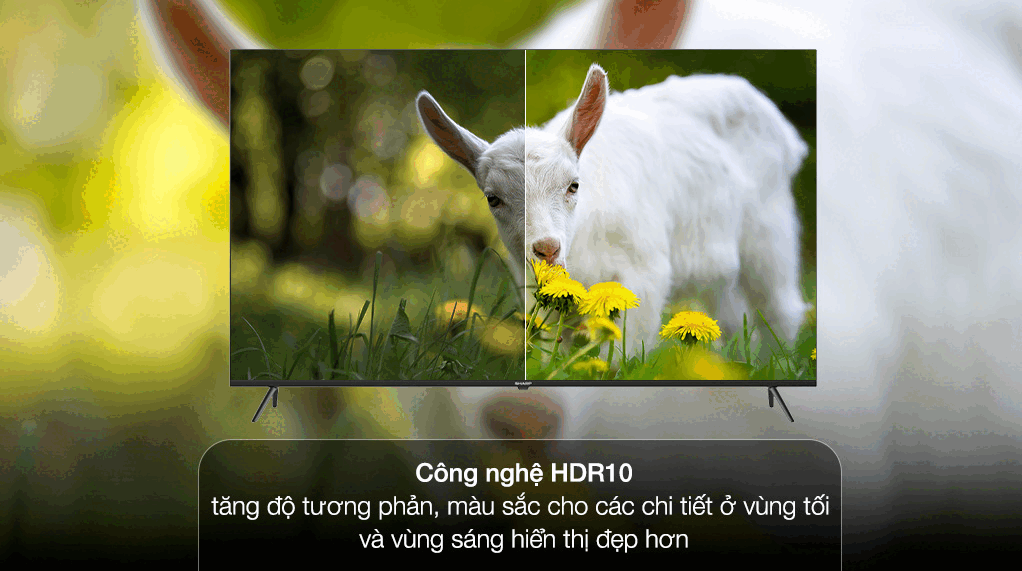 Android Tivi Sharp 4K 65 inch 4T-C65EK2X