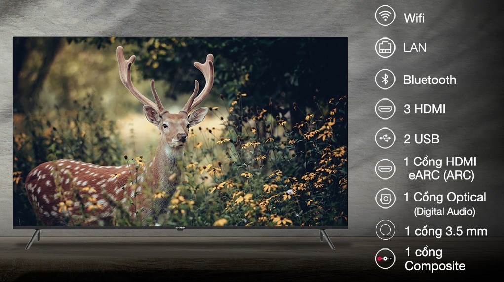 Android Tivi Sharp 4K 65 inch 4T-C65EK2X