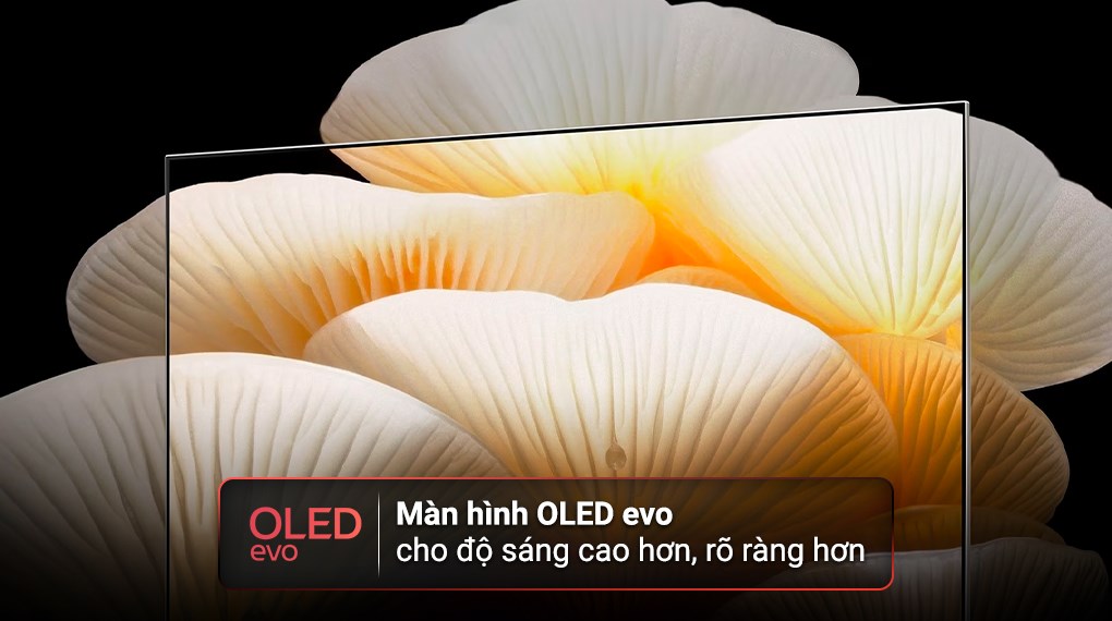 Smart Tivi OLED Evo Posé LG 4K 55 inch 55LX1QPSA