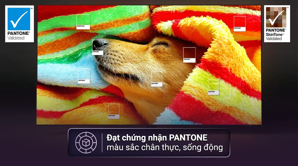 Smart Tivi Neo QLED Samsung AI 8K 75 inch QA75QN800C