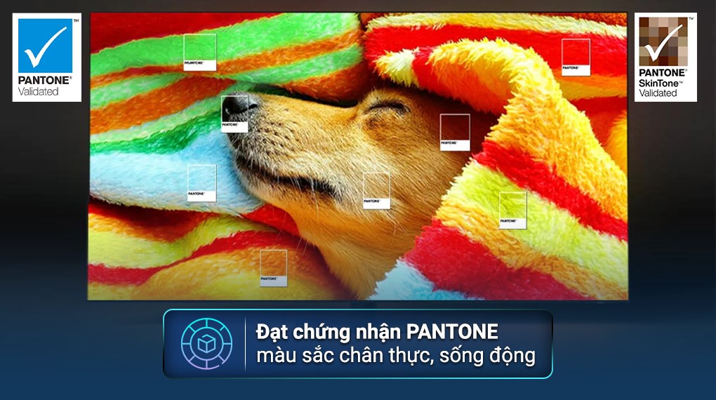 Smart Tivi QLED Samsung AI 4K 65 inch QA65Q80C