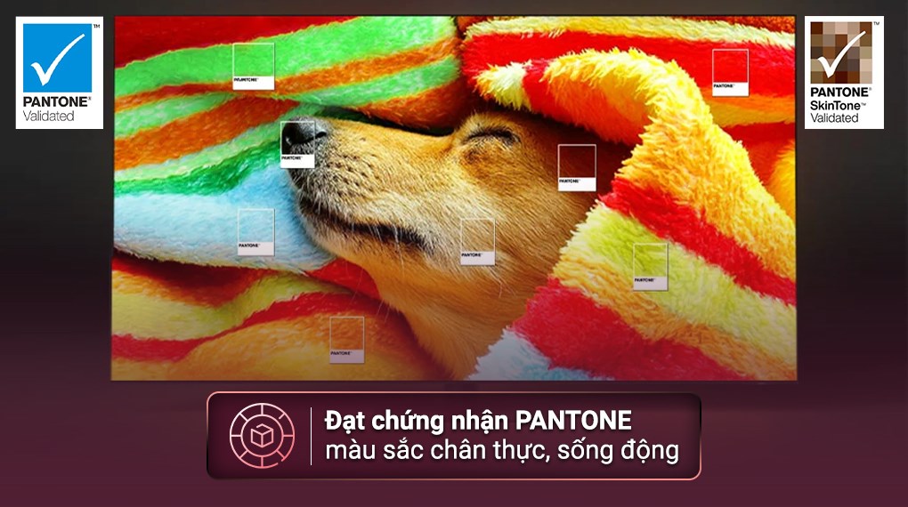 Smart Tivi QLED Samsung 4K 50 inch QA50Q60C