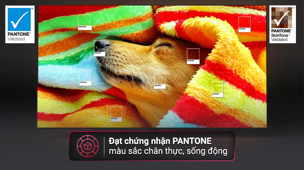 Smart Tivi OLED Samsung 4K 77 inch QA77S90CA