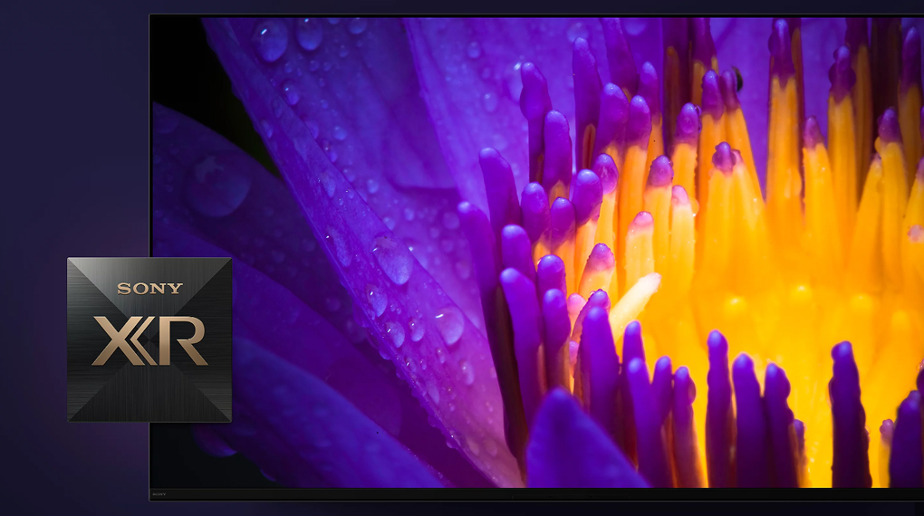 Google Tivi OLED Sony 4K 77 inch 77A80L - Bộ xử lý trí tuệ nhận thức XR Cognitive 