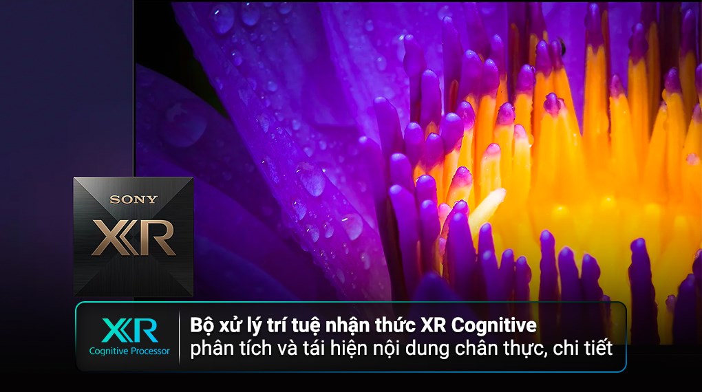 Google Tivi OLED Sony 4K 65 inch XR-65A80L