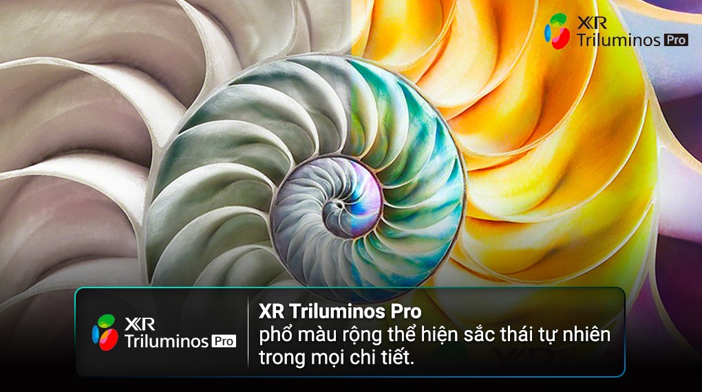 Google Tivi OLED Sony 4K 65 inch XR-65A80L