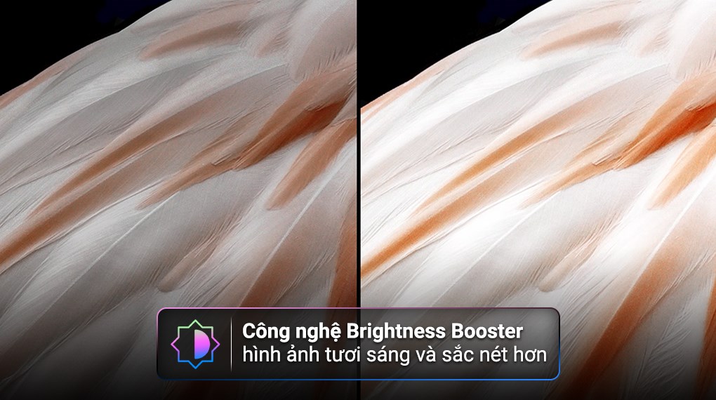 Smart Tivi OLED LG AI 4K 55 inch 55C3PSA