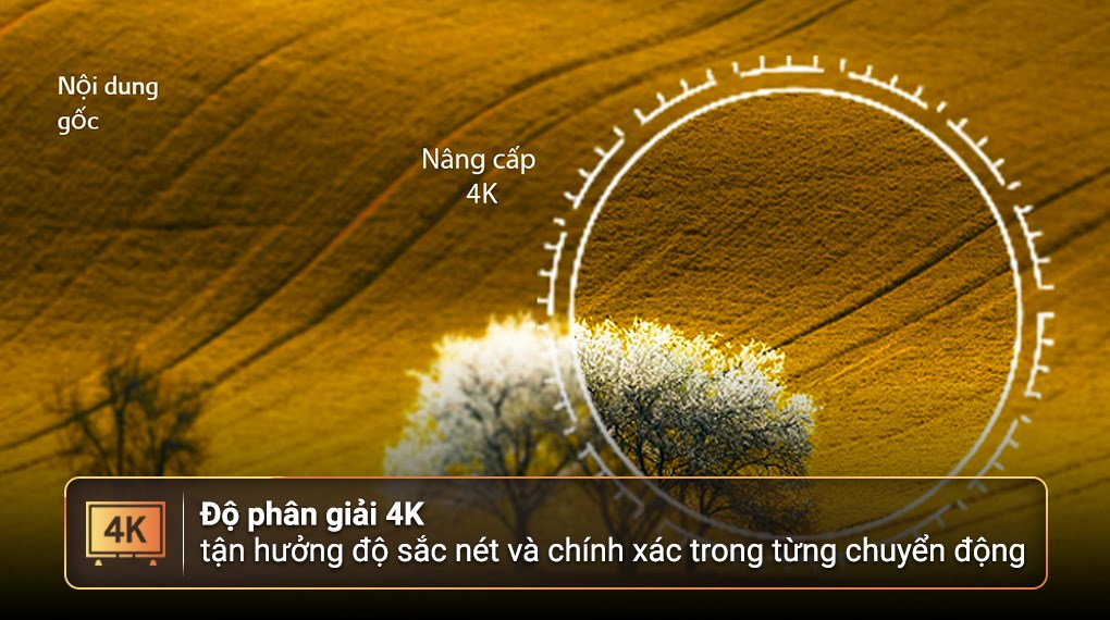 Smart Tivi QNED LG AI 4K 65 inch 65QNED75SRA