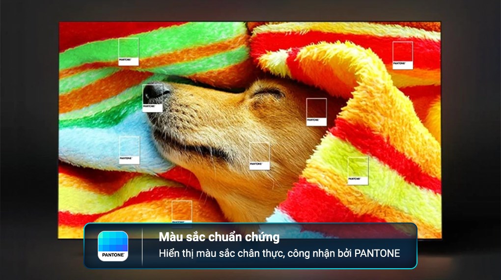 Smart Tivi Neo QLED 8K 98 inch Samsung QA98QN990C