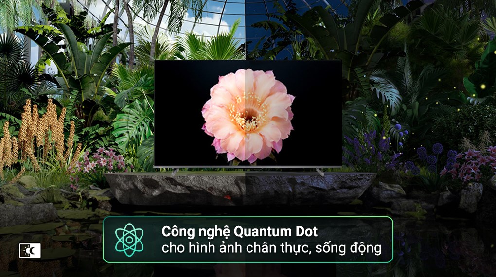 Google Tivi QLED Hisense 4K 65 inch 65Q6N