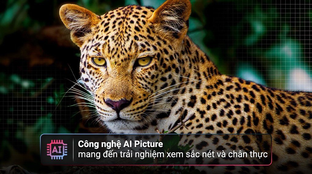 Smart Tivi True Wireless OLED evo LG AI 4K 83 inch OLED83M5PSA