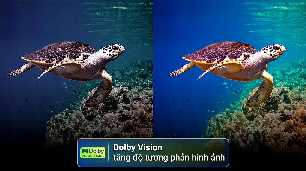 Smart Tivi QLED Toshiba AI 4K 75 inch 75M450RP