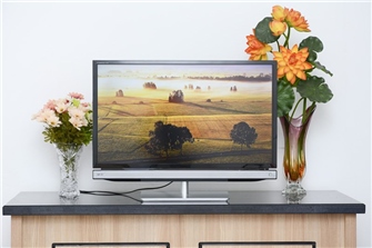 Tivi LED Toshiba 29P2300 29 inch