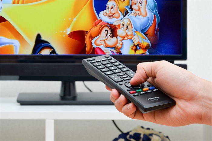 Tivi LED Toshiba 24P1300 24 inch Màu Đen