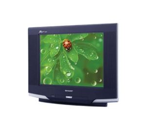Sharp 21Y-FX10V