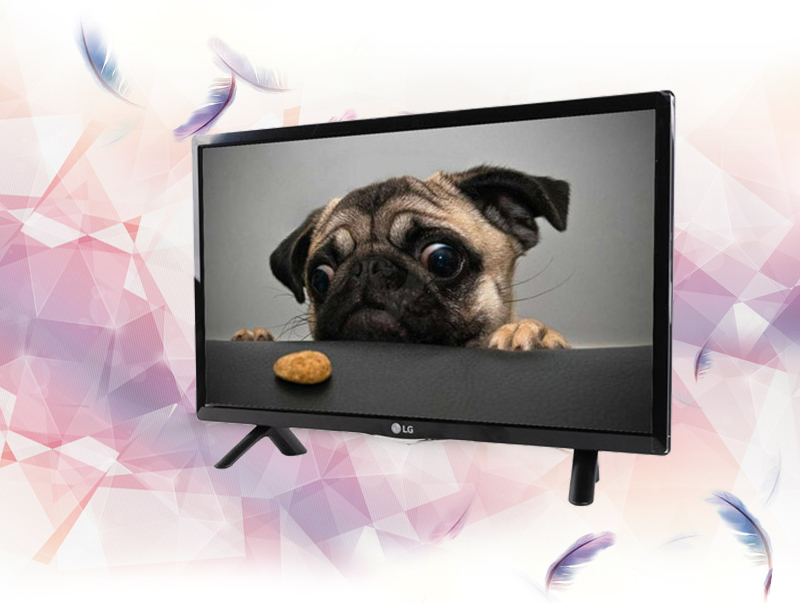 Tivi LED LG 24LF450D 24 inch - Kiểu dáng tinh tế với màn hình 24 inch nhỏ gọn, phù hợp với những không gian khiêm tốn Tivi LED LG 24LF450D 24 inch - Kiểu dáng tinh tế với màn hình 24 inch nhỏ gọn, phù hợp với những không gian khiêm tốn