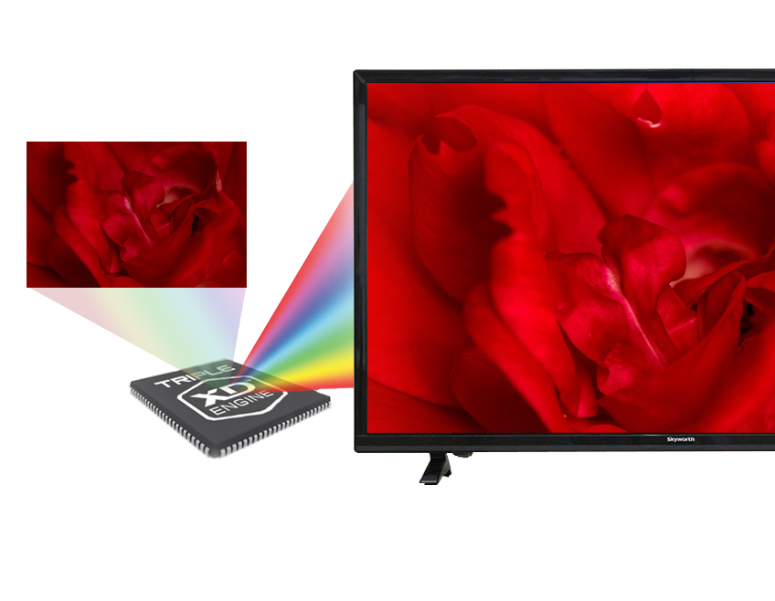 Tivi LED LG 24LF450D 24 inch - Công nghệ Triple XD Engine độc quyền của LG, truyền tải hình ảnh sắc nét như thật với màu sắc rực rỡ, sống động Tivi LED LG 24LF450D 24 inch - Công nghệ Triple XD Engine độc quyền của LG, truyền tải hình ảnh sắc nét như thật với màu sắc rực rỡ, sống động
