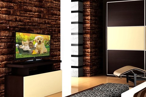 TCL L24D2700D có thiết kế trẻ trung