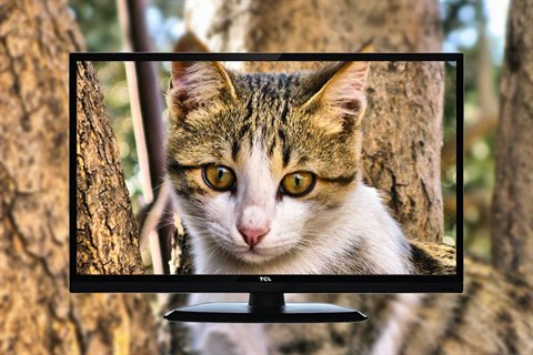 TCL L24D2700D trang bị độ phân giải Full HD