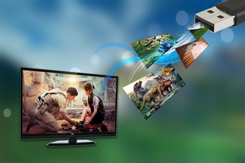 TCL L24D2700D trang bị 2 cổng HDMI