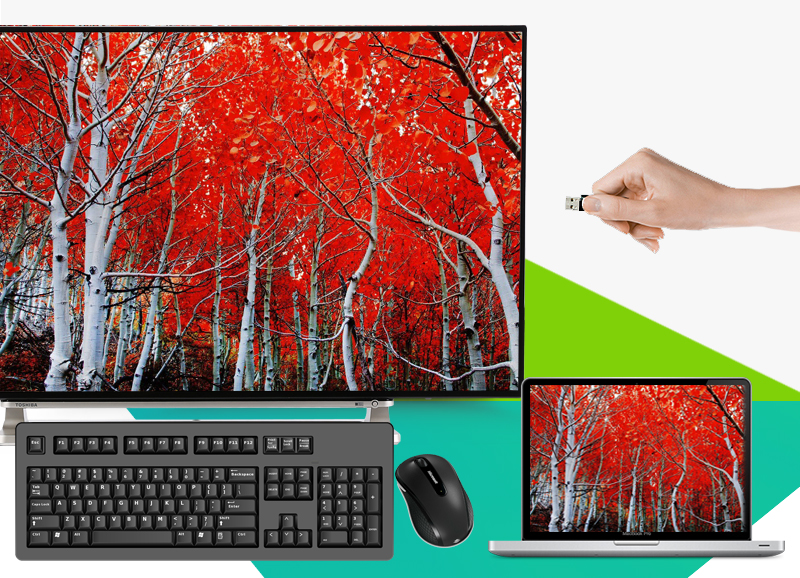 Smart Tivi Toshiba 55 inch 55L5550 - Kết nối với dàn máy, USB, máy tính, chuột bàn phím, tay cầm chơi game… Smart Tivi Toshiba 55 inch 55L5550 - Kết nối với dàn máy, USB, máy tính, chuột bàn phím, tay cầm chơi game…