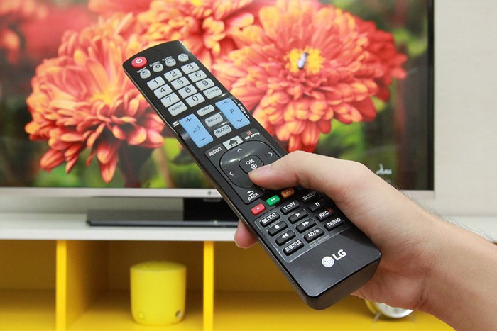 Smart Tivi LG 43 inch 43LF631V Màu Xám - đồng