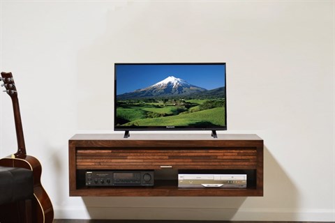 Skyworth 24E510